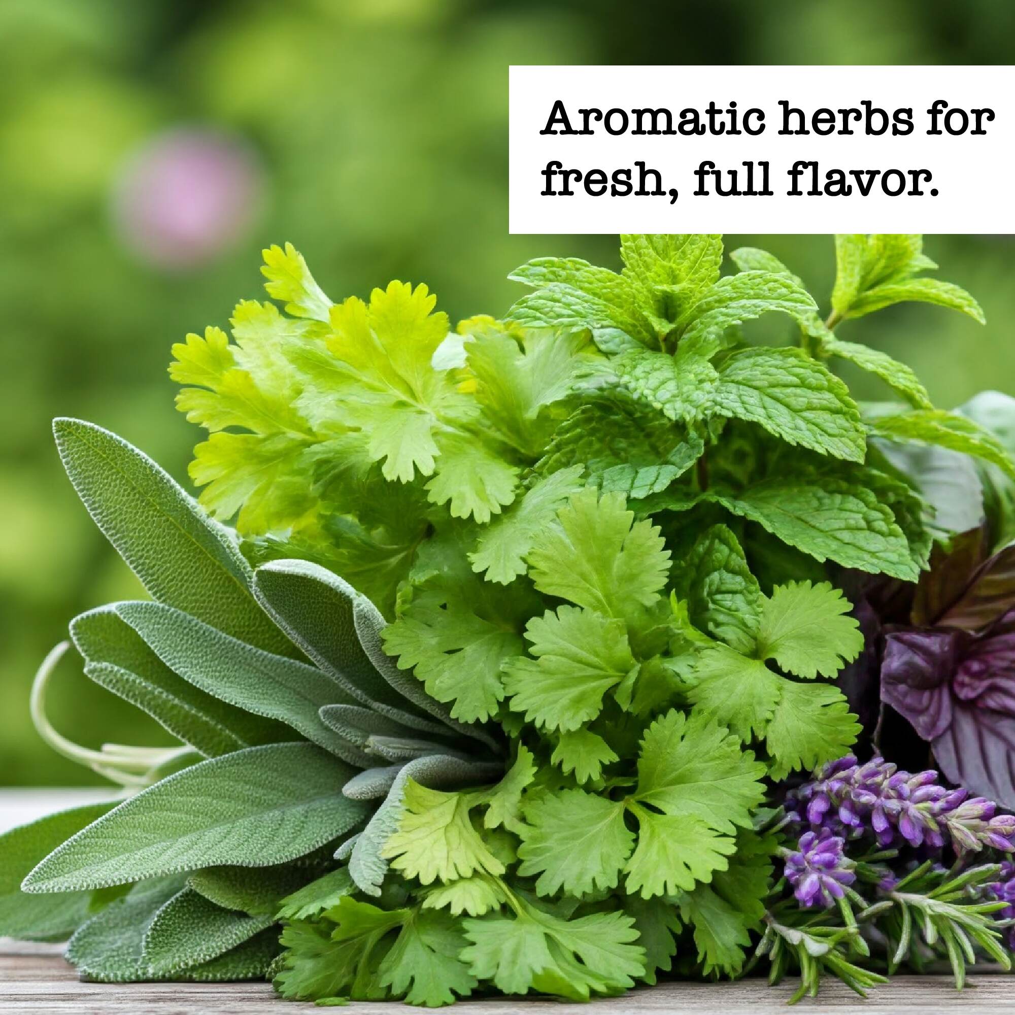 Aromatic herbs for fresh, full flavor